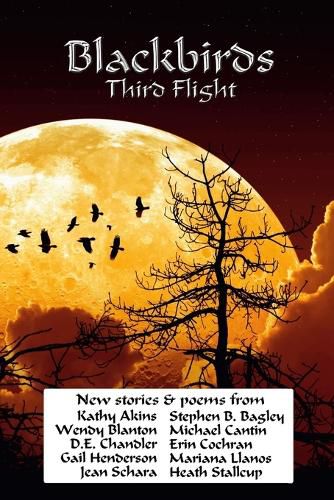 Cover image for Blackbirds Third Flight