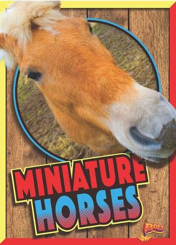 Cover image for Miniature Horses