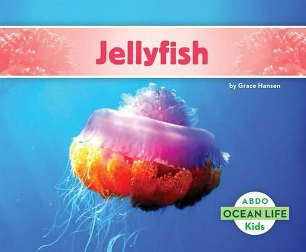 Cover image for Jellyfish