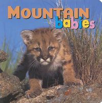 Cover image for Mountain Babies