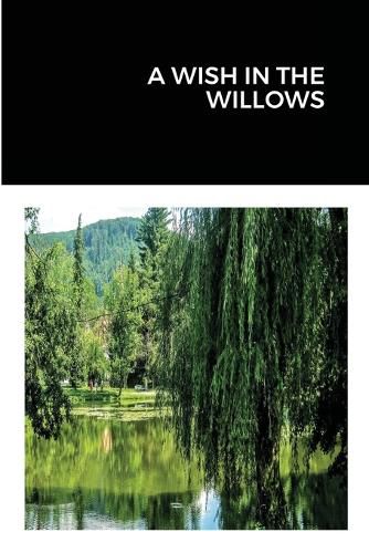 Cover image for A Wish in the Willows