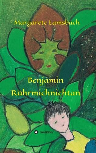 Cover image for Benjamin Ruhrmichnichtan