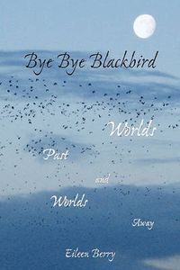 Cover image for Bye Bye Blackbird: Worlds Past and Worlds Away