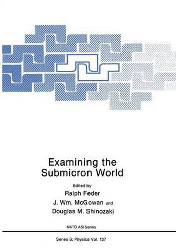 Cover image for Examining the Submicron World