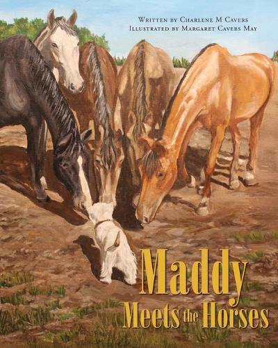 Cover image for Maddy Meets the Horses