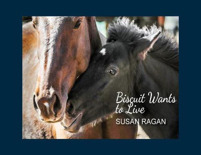 Cover image for Biscuit Wants to Live