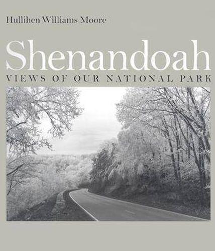 Cover image for Shenandoah: Views of Our National Park