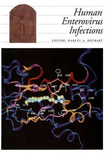 Cover image for Human Enterovirus Infections