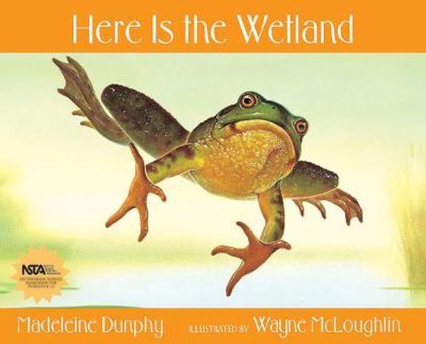 Cover image for Here Is the Wetland