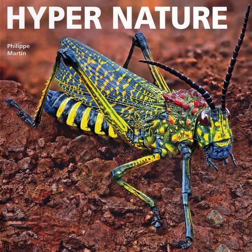 Cover image for Hyper Nature