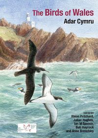 Cover image for The Birds of Wales