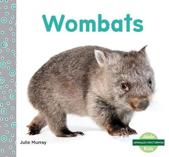 Cover image for Wombats / Wombats