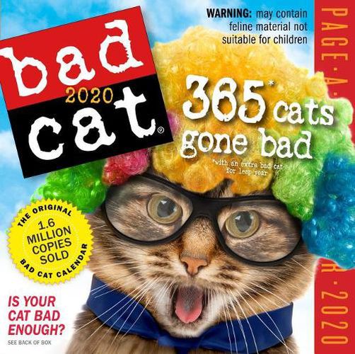 2020 Bad Cat Colour Page-A-Day Calendar