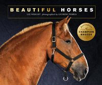 Cover image for Beautiful Horses: Portraits of champion breeds