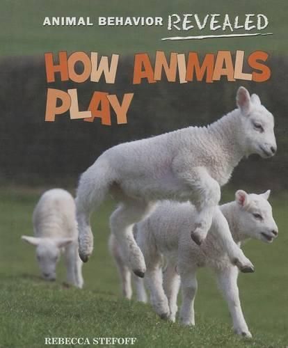 Cover image for How Animals Play