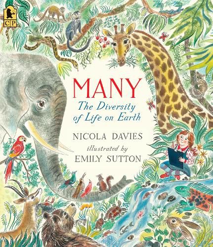 Cover image for Many: The Diversity of Life on Earth