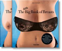 Cover image for The Little Big Book of Breasts