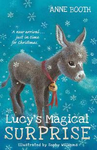 Cover image for Lucy's Magical Surprise
