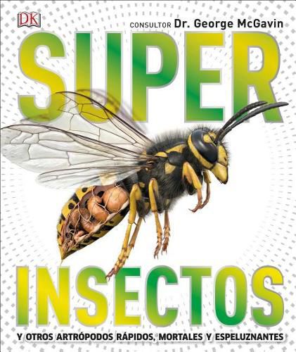 Cover image for Super Insectos (Super Bug Encyclopedia): Los Insectos Mas Grandes, Rapidos, Mortales y Espeluznantes