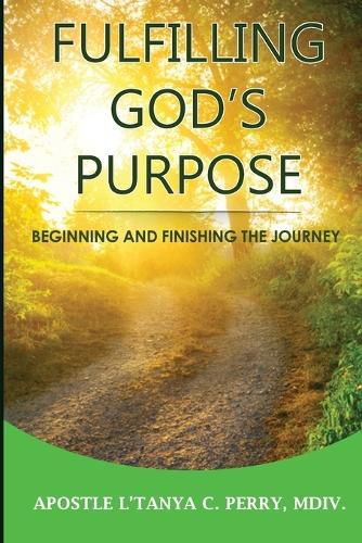 Cover image for Fulfilling God's Purpose