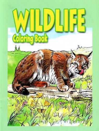 Cover image for Wildlife Coloring Book