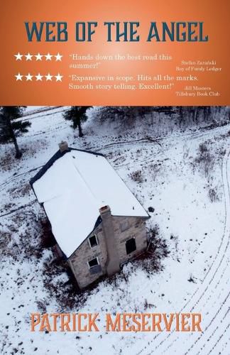 Cover image for Web of the Angel