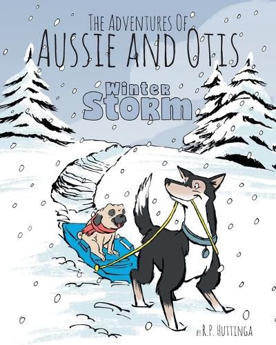 Cover image for Winter Storm: The Adventures Of Aussie and Otis