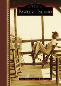 Cover image for Pawleys Island