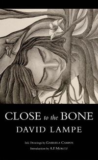 Cover image for Close to the Bone