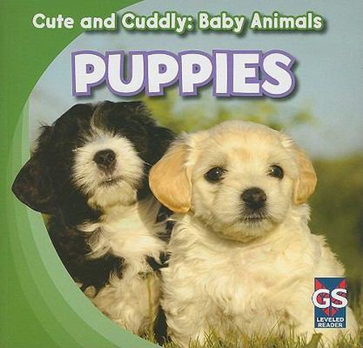 Cover image for Puppies