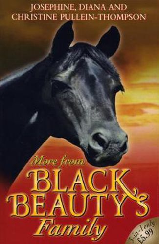 More from Black Beauty's Family