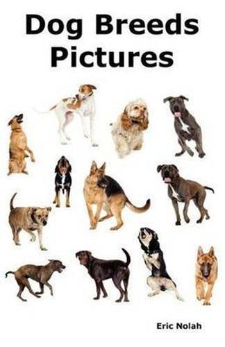 Cover image for Dog Breeds Pictures: Over 100 Breeds Including Chihuahua, Pug, Bulldog, German Shepherd, Maltese, Beagle, Rottweiler, Dachshund, Golden Retriever, Pomeranian, Doberman Pinscher, Terrier and Boxer.