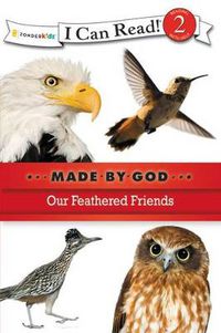 Cover image for Our Feathered Friends: Level 2