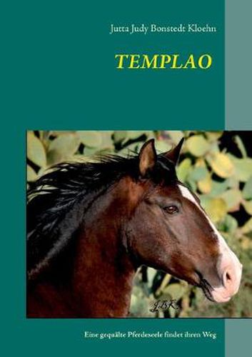 Cover image for Templao: Eine gequalte Pferdeseele findet ihren Weg