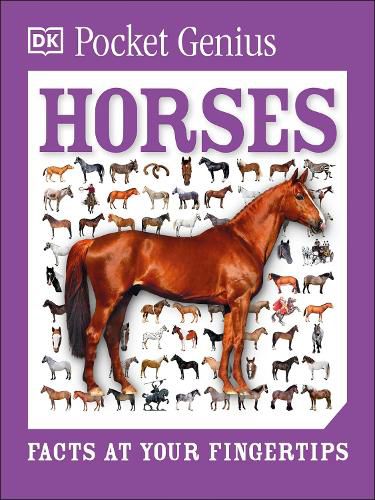 Cover image for Pocket Genius: Horses: Facts at Your Fingertips