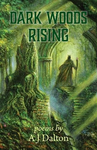 Cover image for Dark Woods Rising