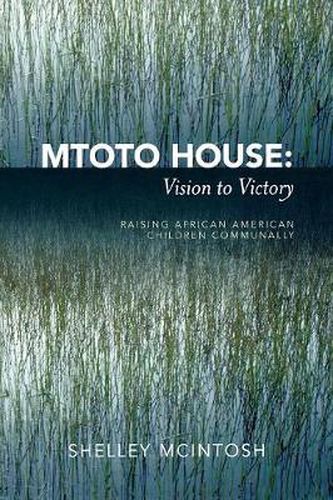 Cover image for Mtoto House: Vision to Victory: Raising African American Children Communally