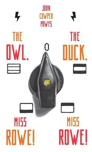 Cover image for The Owl, the Duck, and - Miss Rowe! Miss Rowe!