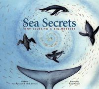 Cover image for Sea Secrets: Tiny Clues to a Big Mystery