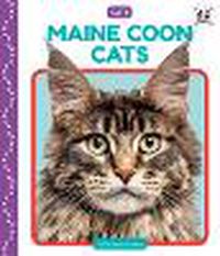 Cover image for Maine Coon Cats