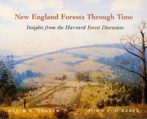 Cover image for New England Forests Through Time: Insights from the Harvard Forest Dioramas