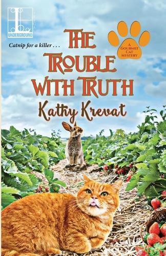 Cover image for The Trouble with Truth