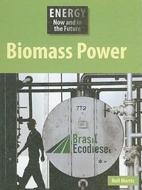 Cover image for Biomass Power