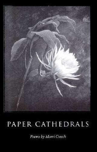 Cover image for Paper Cathedrals