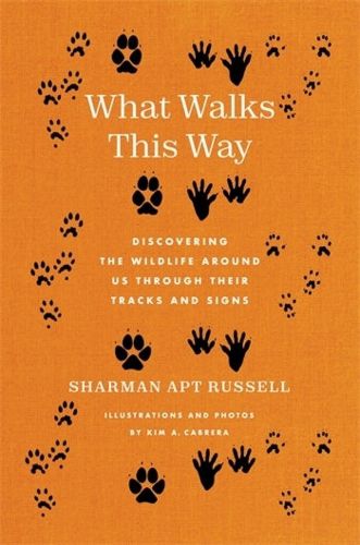 Cover image for What Walks This Way