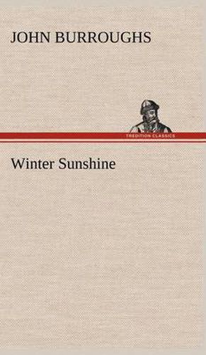 Cover image for Winter Sunshine