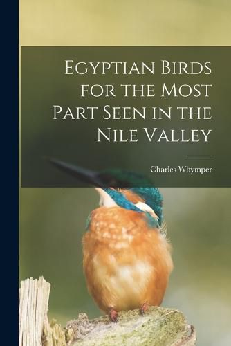 Cover image for Egyptian Birds for the Most Part Seen in the Nile Valley