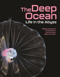 Cover image for The Deep Ocean: Life in the Abyss