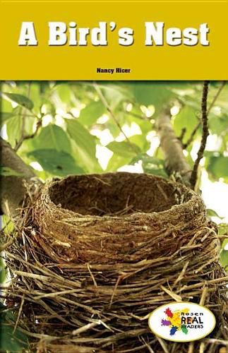 Cover image for A Bird's Nest