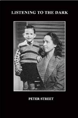 Cover image for Listening to the Dark